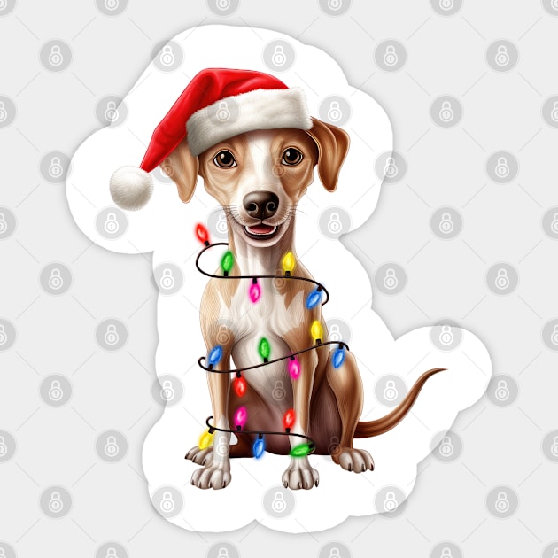 Christmas Italian Greyhound Sticker by Chromatic Fusion Studio